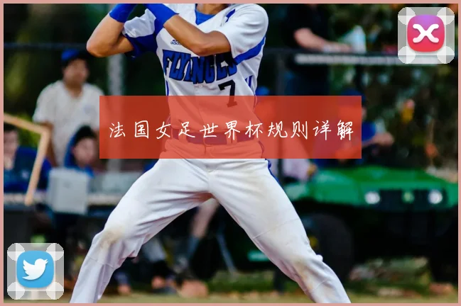 法国女足世界杯规则详解