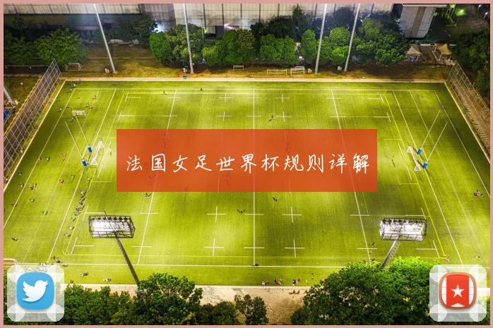 法国女足世界杯规则详解