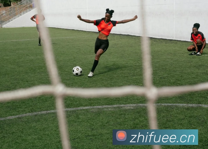 半岛在线体育 - 半岛在线(中国)APP 封面图